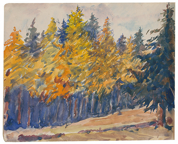 Margita Czóbelová – Náčrt lesa na jeseň  