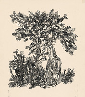 Oto Lupták – 7.- Princezná 