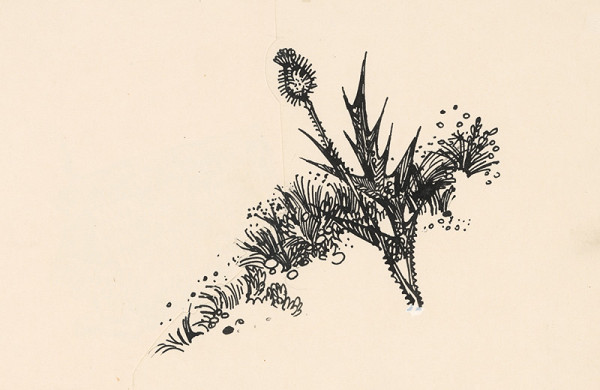 Oto Lupták – 23.- Bodliak 