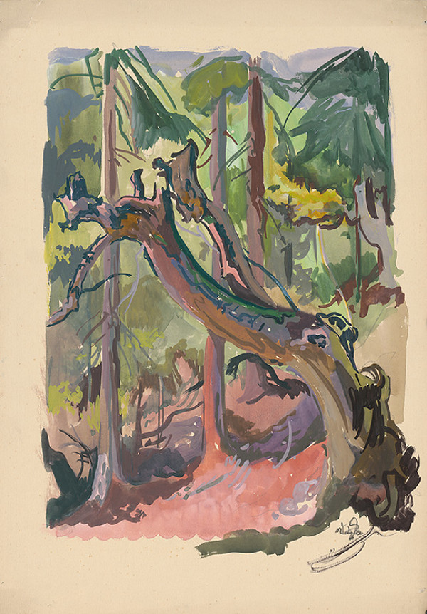 Jaroslav Vodrážka – Krivý strom 