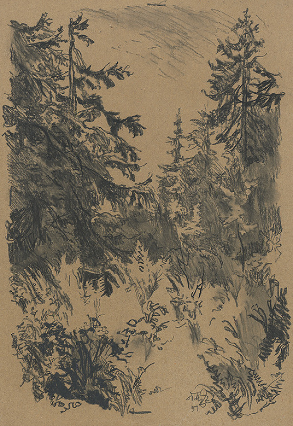 Jaroslav Vodrážka – Ihličnatý les 