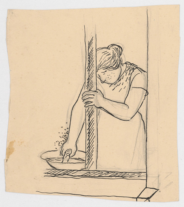 Štefan Bednár – Umývanie okna 