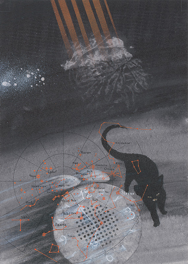 Dušan Grečner – Cat 