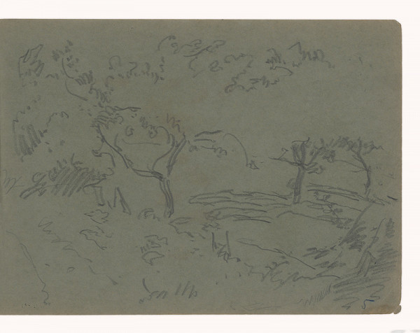 Maximilián Schurmann – Stromy 