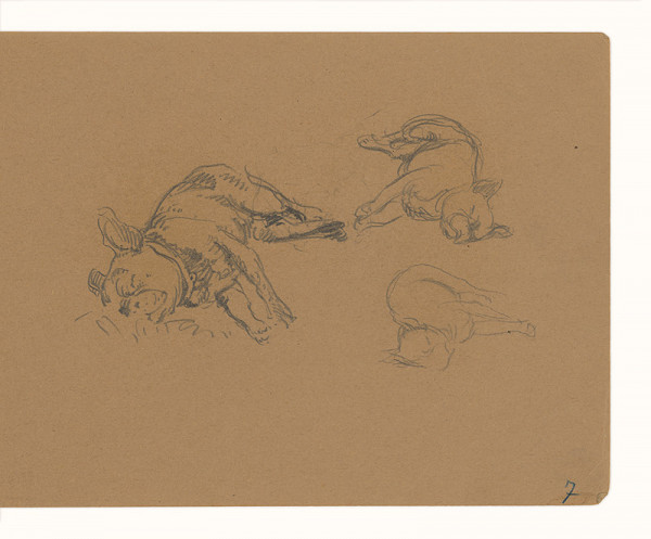 Maximilián Schurmann – Spiaci pes 