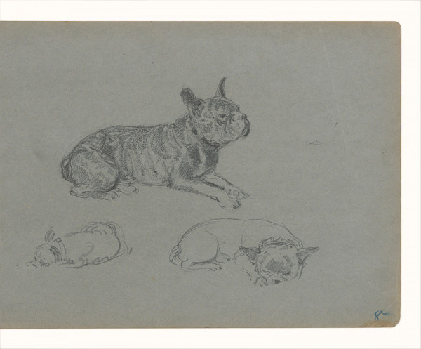 Maximilián Schurmann – Štúdie psa 