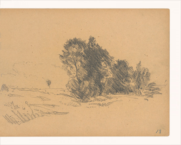 Maximilián Schurmann – Krajina so stromami 