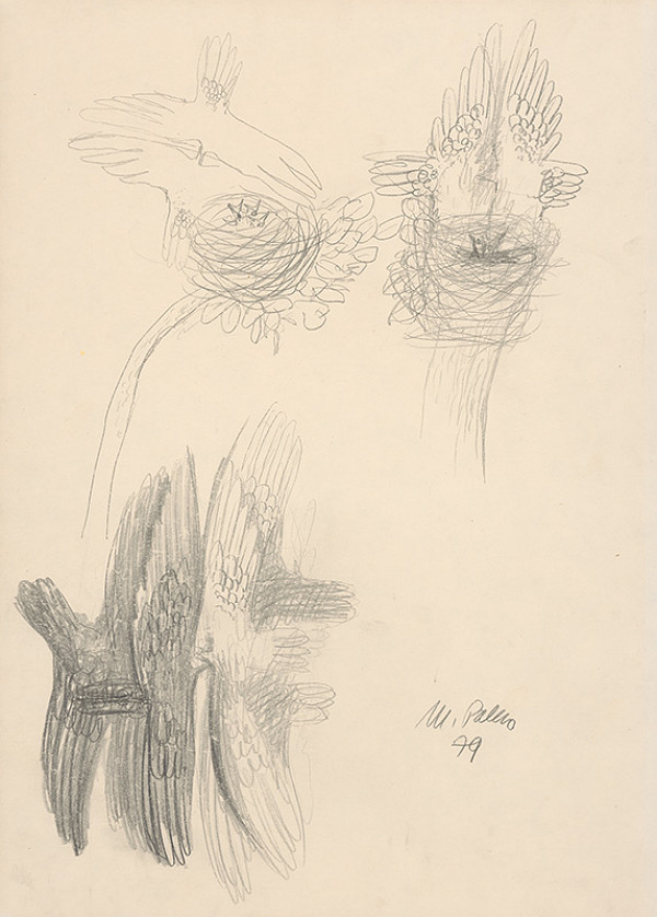 Mikuláš Palko – Vtáci 