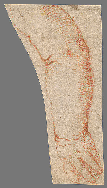 Stredoeurópsky majster z 18. storočia – Štúdia ruky 