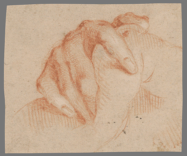 Stredoeurópsky majster z 18. storočia – Štúdia prstov 