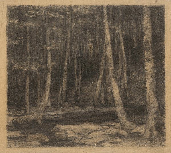 Ľudovít Čordák – Vnútro temného lesa 