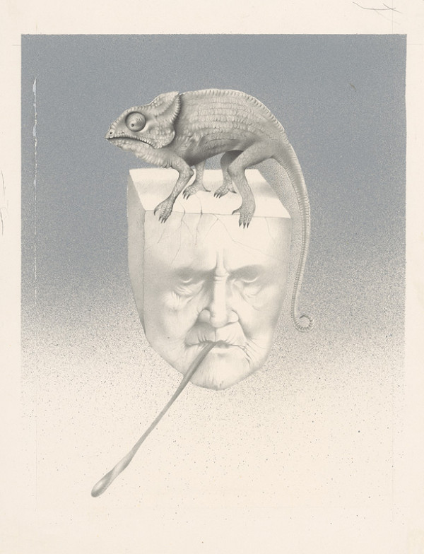 Dušan Nágel – Chameleon 