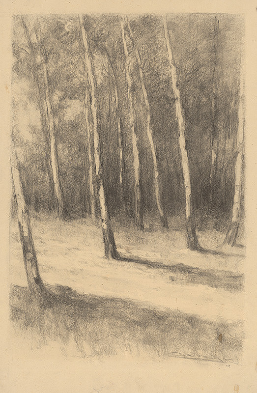 Ľudovít Čordák – Brezy v slnečnom svetle 