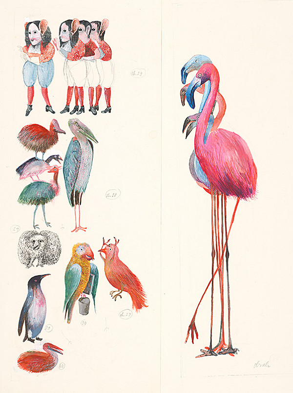 Dušan Kállay – Vtáci 