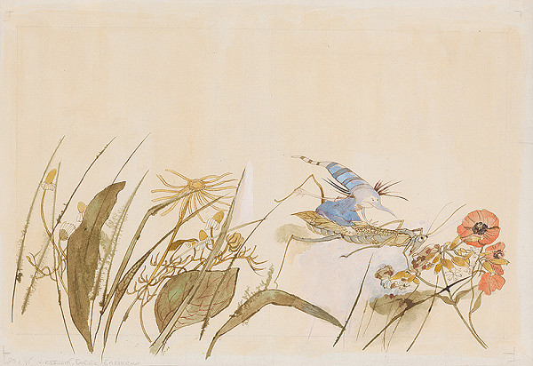 Jana Kiselová-Siteková – Čarokruh 