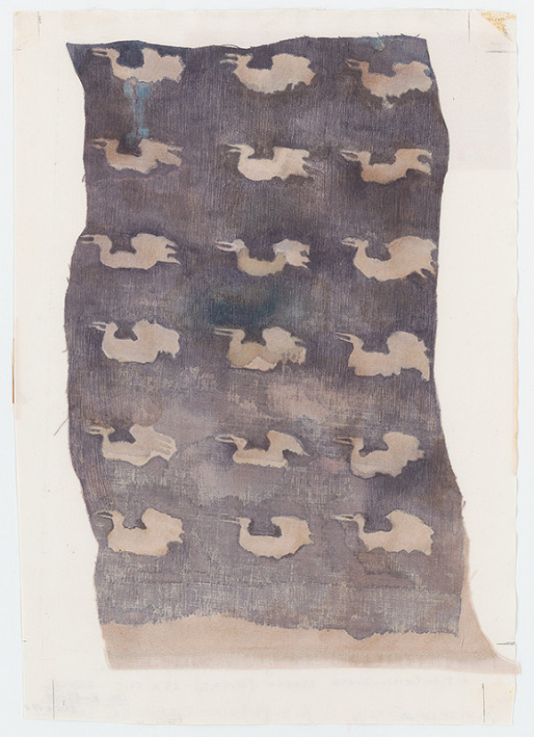 Jana Kiselová-Siteková – Kačky