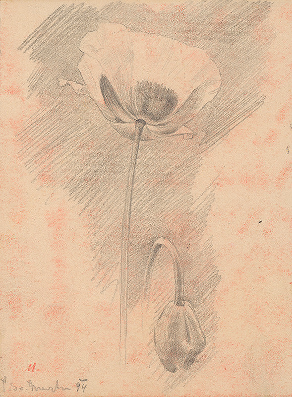 Milan Thomka Mitrovský – Štúdia kvetov 