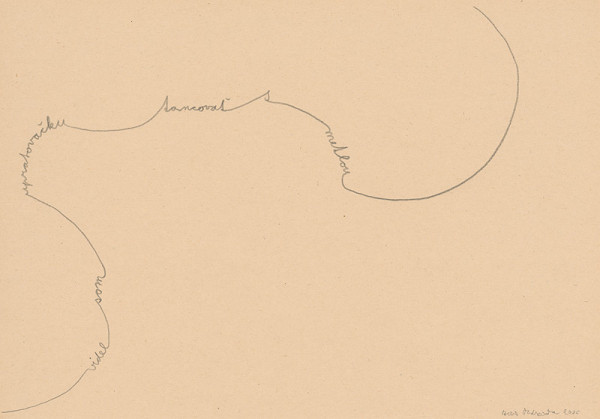 Boris Ondreička – Videl som tancovať upratovačku s metlou 