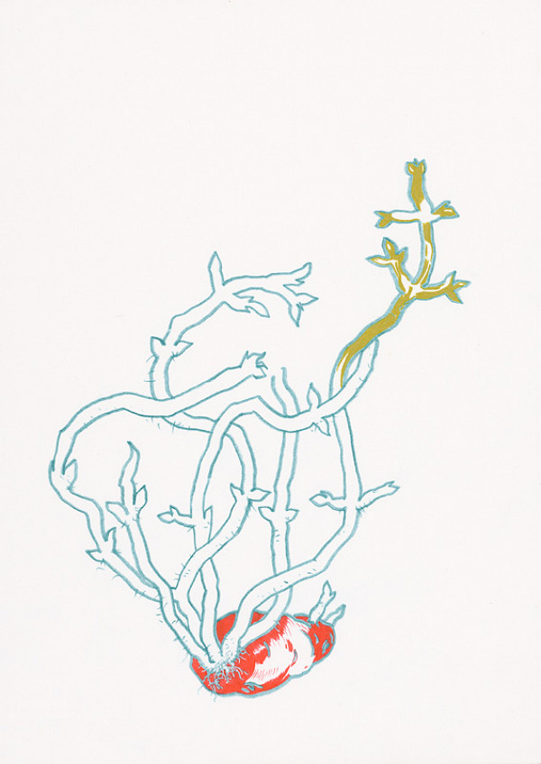 Svätopluk Mikyta – Dobrá odroda? 