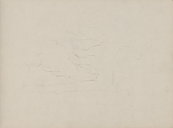 Ján Novák – Stromy 