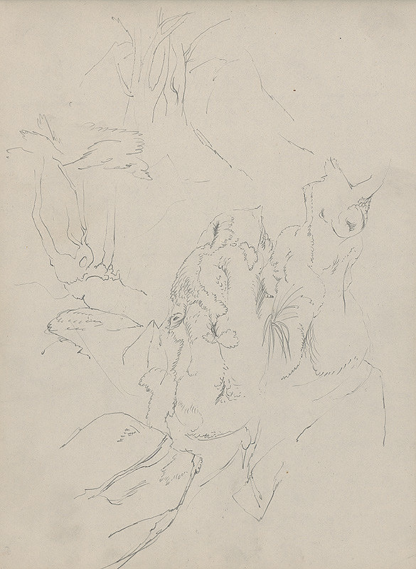 Ján Novák – Stromy 