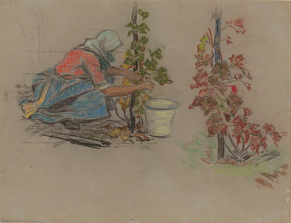 Štefan Polkoráb – Pri oberačke 