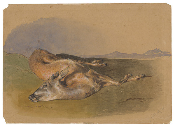 Friedrich Carl von Scheidlin – Dead Doe 