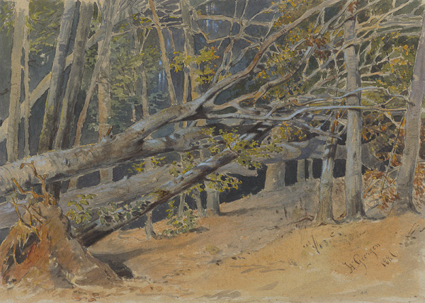 Friedrich Carl von Scheidlin – Study of Cut Down Trees 