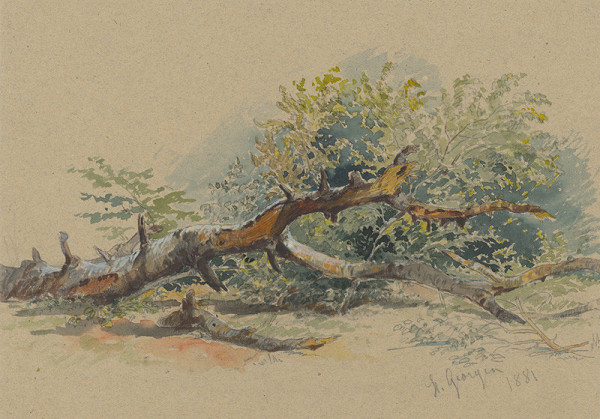 Friedrich Carl von Scheidlin – Study of a Cut Down Tree 