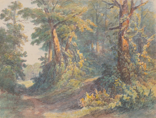Friedrich Carl von Scheidlin – Forest Scenery 