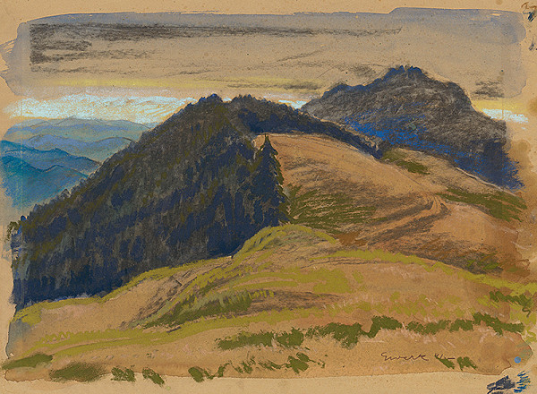 Edmund Gwerk – Field in the Mountains 