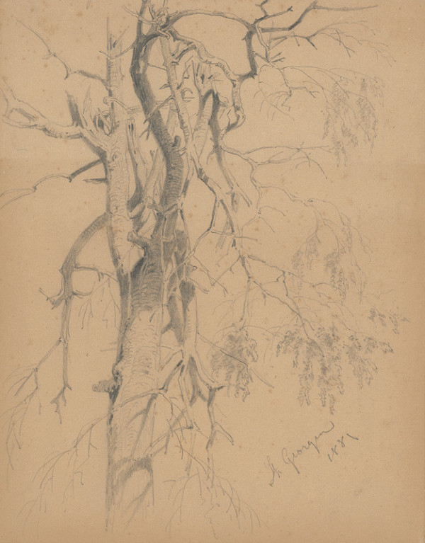 Friedrich Carl von Scheidlin – Štúdia stromu so zlomenými vetvami 