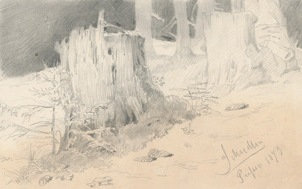 Friedrich Carl von Scheidlin – Štúdia horských pňov 