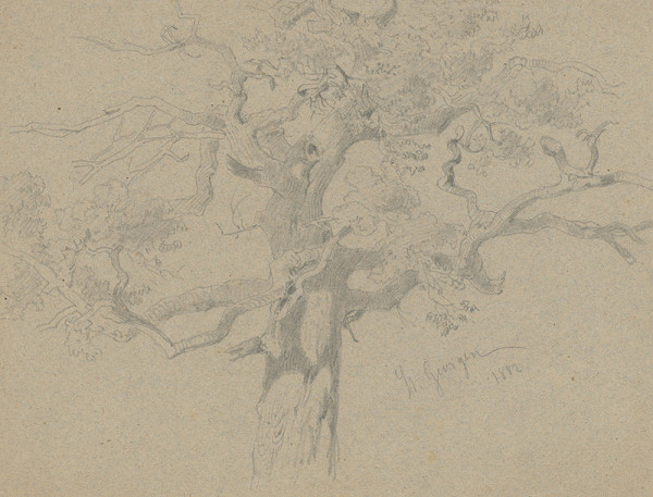 Friedrich Carl von Scheidlin – Tree with Knotted Branches 