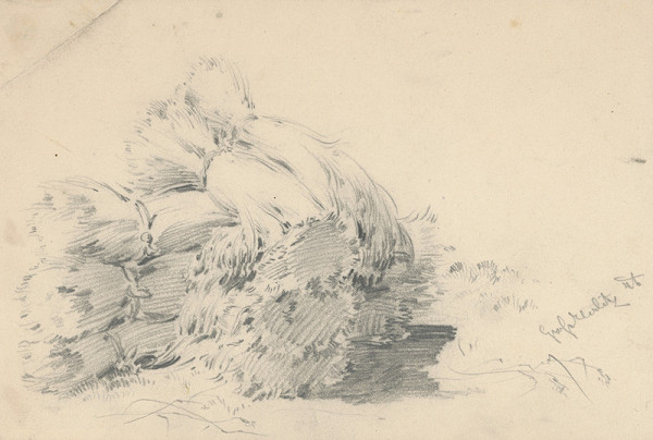 Friedrich Carl von Scheidlin – Štúdia snopov 