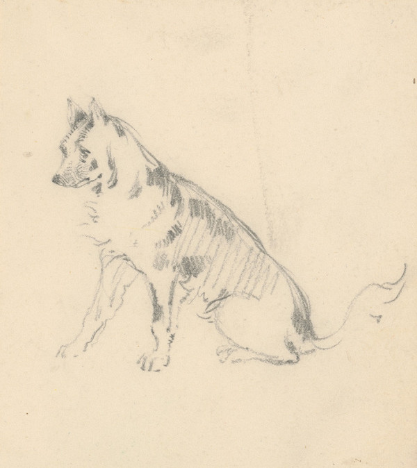 Friedrich Carl von Scheidlin – Štúdia sediaceho psa 