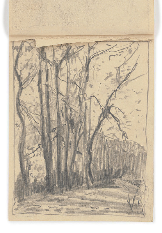 Zolo Palugyay – Study of Trees by the Road 