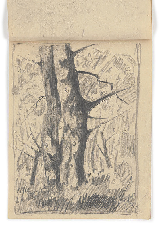 Zolo Palugyay – Study of a Withered Tree 