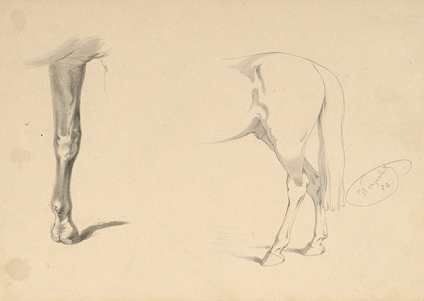 Friedrich Carl von Scheidlin – Detailná štúdia zadnej časti koňa a konskej nohy 