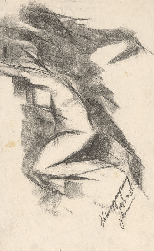 Zolo Palugyay – Akt 