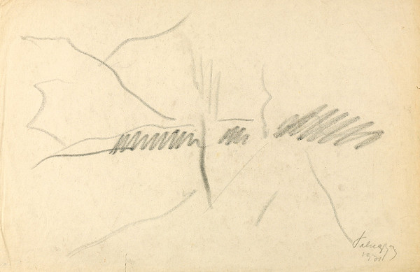 Zolo Palugyay – Krajina 