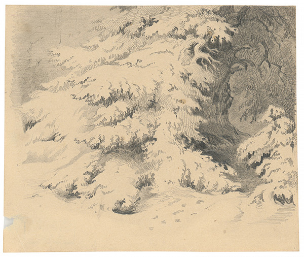 Friedrich Carl von Scheidlin – Forest Motif 