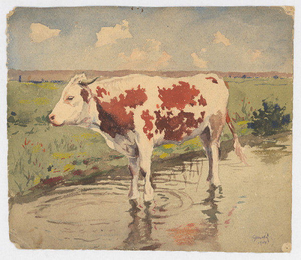 Gustáv Mallý – Kravička 