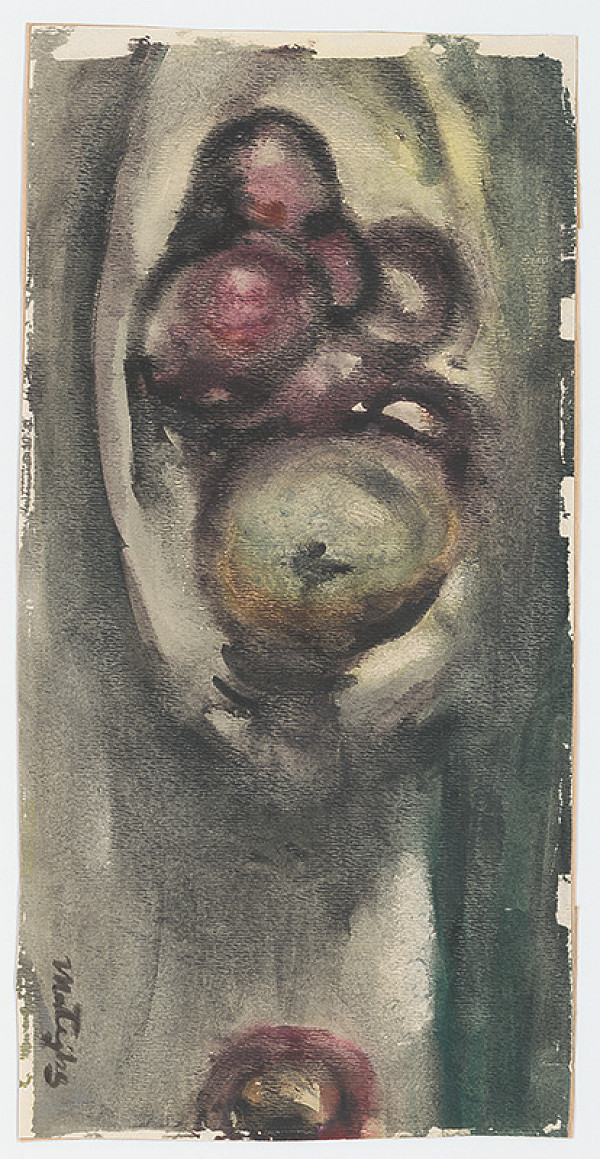 Peter Matejka – Zátišie s ovocím 