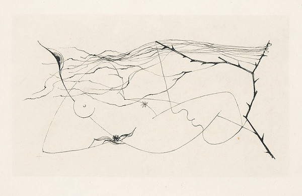 Mária Želibská – Jeseň 