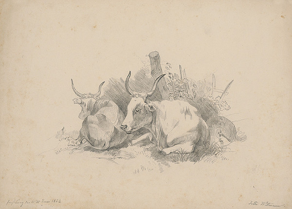 Henriette Jetti Wittmann – Resting Cows 