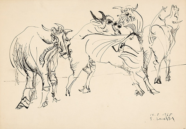 Emil Sedlák – Bulls 