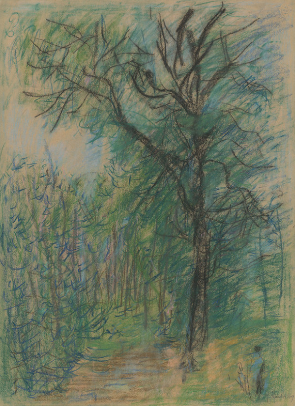 Jozef Šturdík – Les 