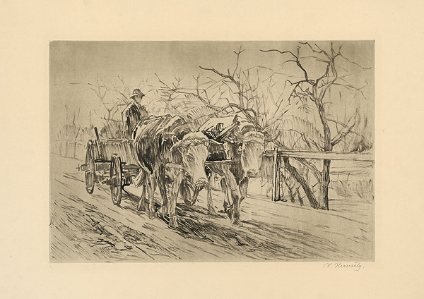 Viktor Hermély – Bulls 