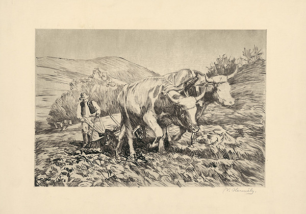 Viktor Hermély – Oranie 